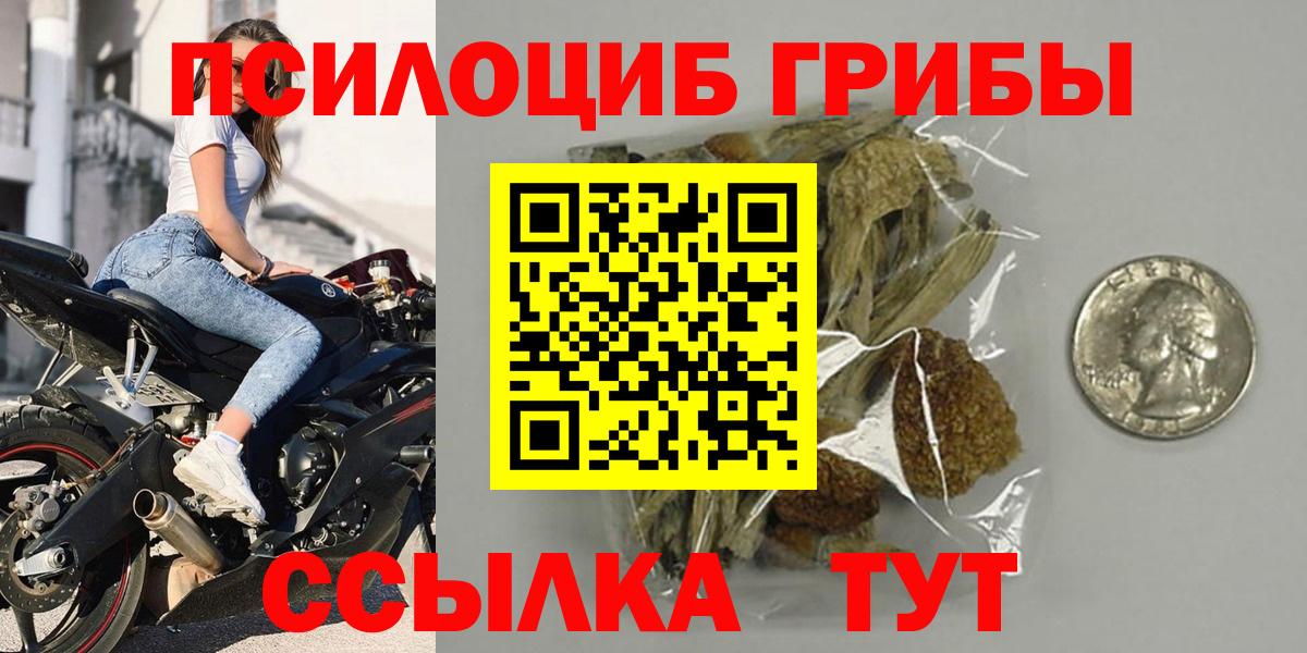 Псилоцибиновые грибы мицелий Скопин